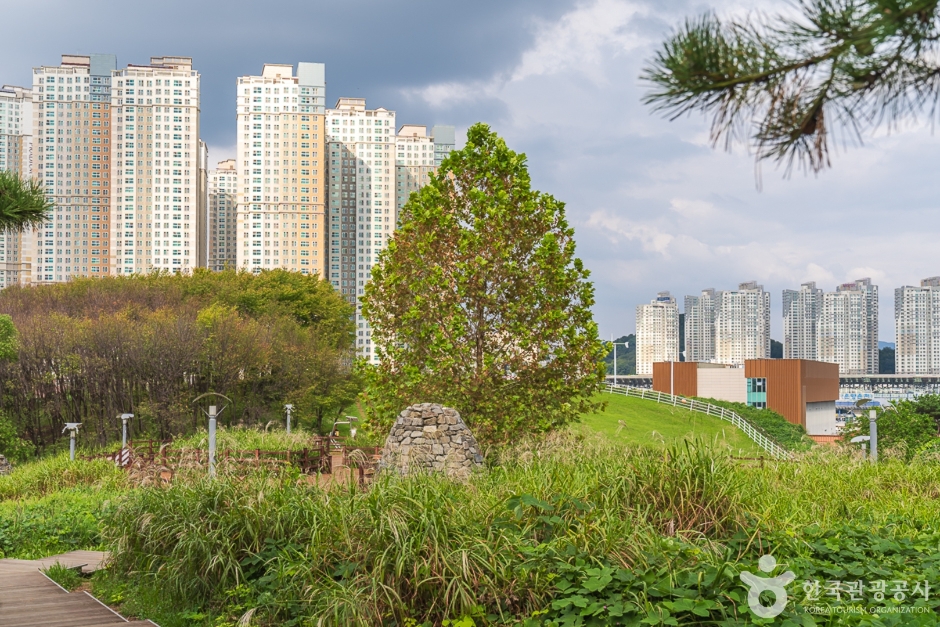 지산체육공원 여행 추천 - 메고지고 지산체육공원 여행 추천 - 메고지고