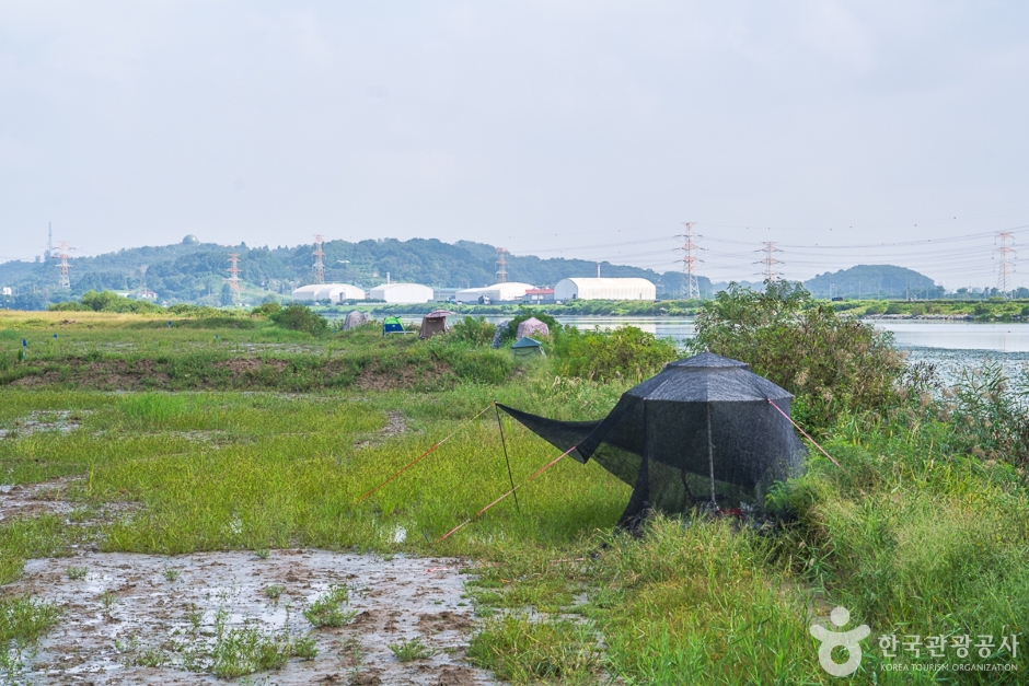 쌀조개섬 여행 추천 - 메고지고 쌀조개섬 여행 추천 - 메고지고