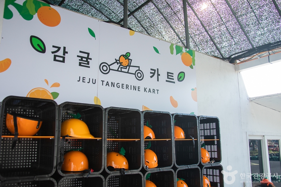 감귤카트 여행 추천 - 메고지고