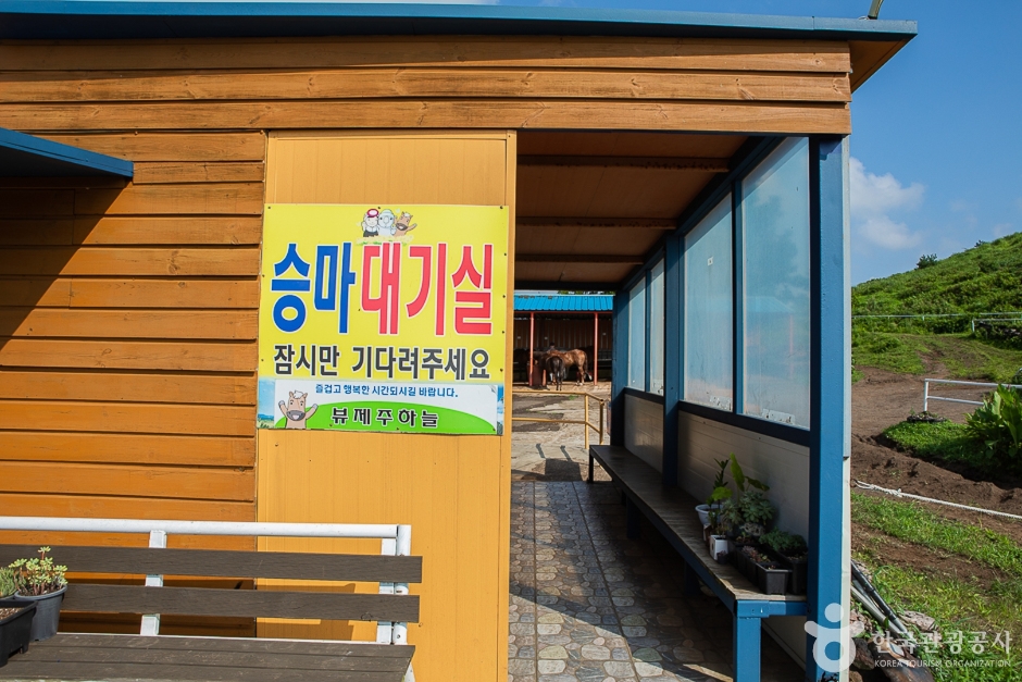 뷰 제주하늘 여행 추천 - 메고지고