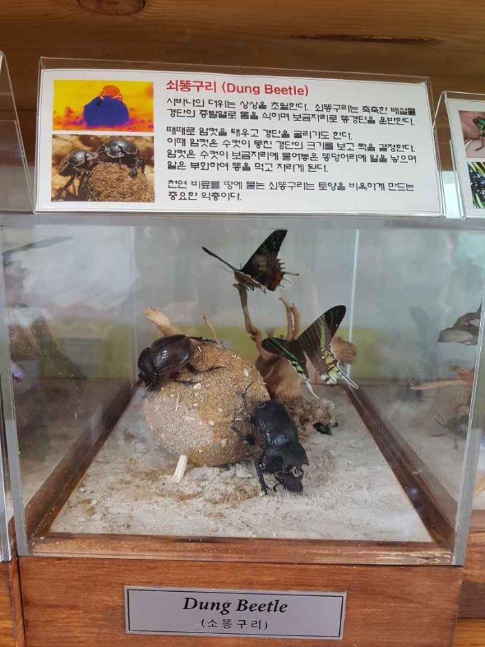 세산곤충체험농장 여행 추천 - 메고지고