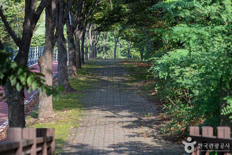 헤이리무장애노을숲길 여행 추천 - 메고지고