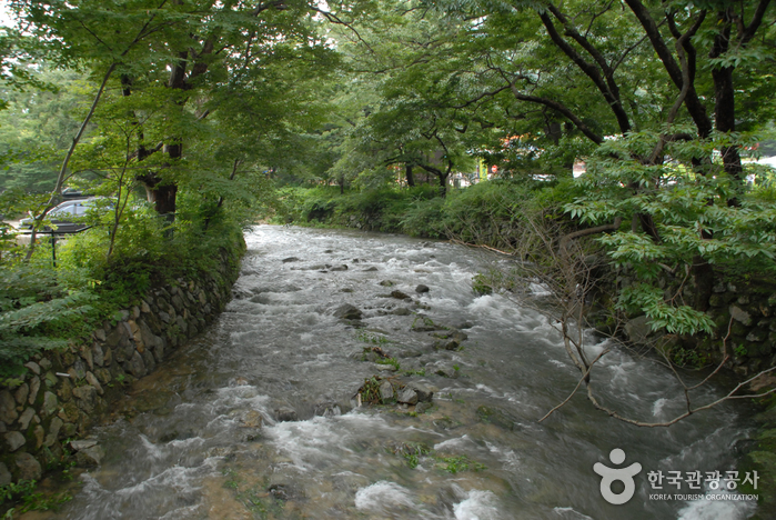 갑사계곡 여행 추천 - 메고지고 갑사계곡 여행 추천 - 메고지고