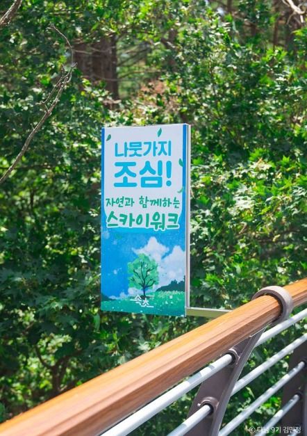설악향기로 여행 추천 - 메고지고 설악향기로 여행 추천 - 메고지고