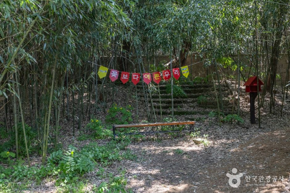 면천읍성 대숲바람길 여행 추천 - 메고지고 면천읍성 대숲바람길 여행 추천 - 메고지고
