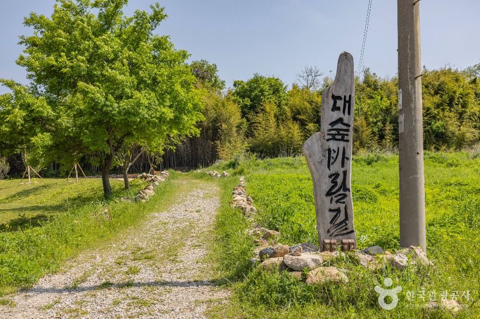면천읍성 대숲바람길 여행 추천 - 메고지고 면천읍성 대숲바람길 여행 추천 - 메고지고