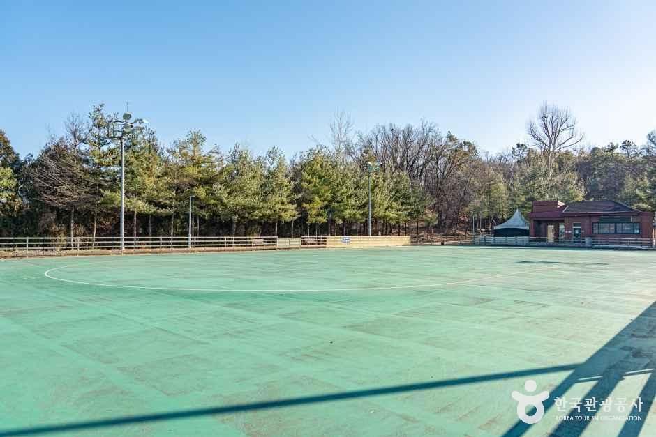 석수체육공원 여행 추천 - 메고지고 석수체육공원 여행 추천 - 메고지고