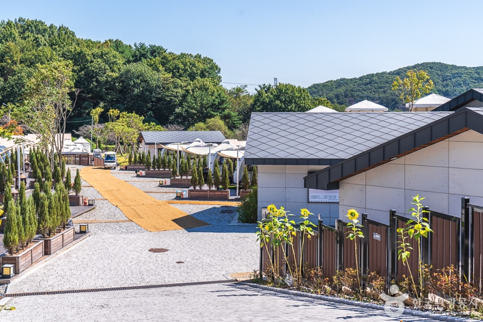 아산 스파포레 여행 추천 - 메고지고 아산 스파포레 여행 추천 - 메고지고