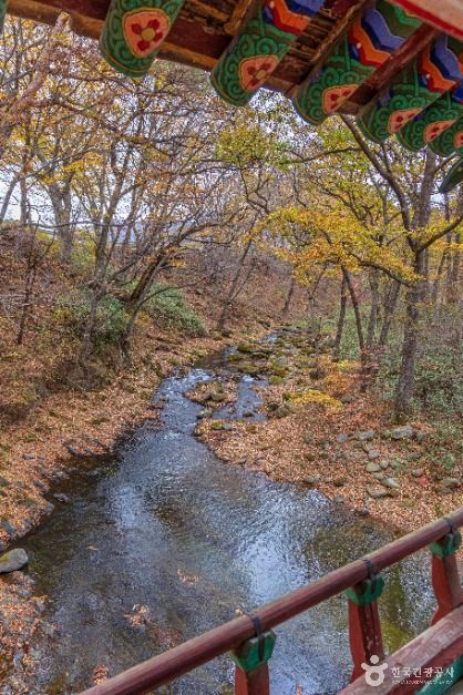영모정 여행 추천 - 메고지고 영모정 여행 추천 - 메고지고