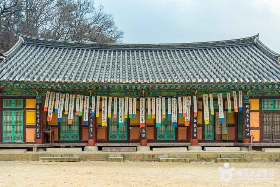 청룡사(안성) 여행 추천 - 메고지고 청룡사(안성) 여행 추천 - 메고지고