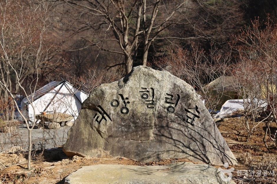 태양힐링숲 여행 추천 - 메고지고 태양힐링숲 여행 추천 - 메고지고