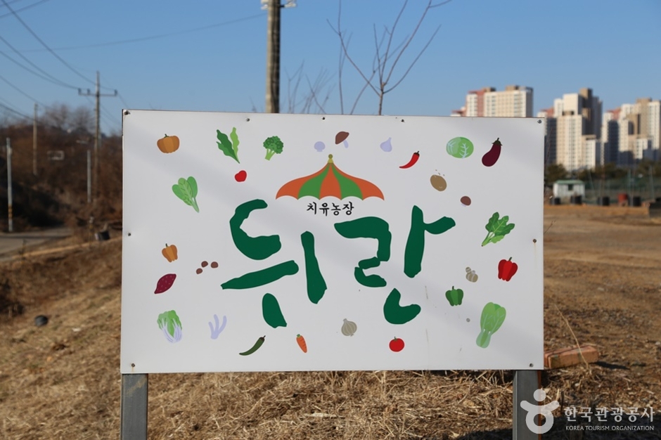 치유농장 뒤란 여행 추천 - 메고지고