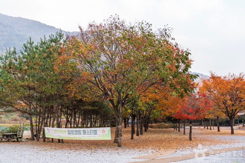 월악오토캠핑장 여행 추천 - 메고지고 월악오토캠핑장 여행 추천 - 메고지고