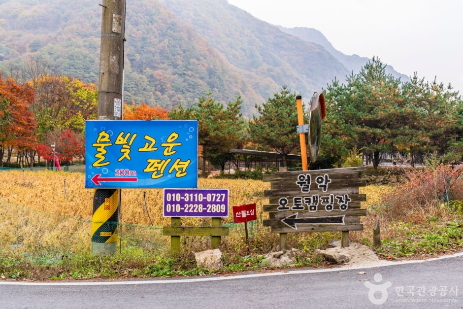 월악오토캠핑장 여행 추천 - 메고지고 월악오토캠핑장 여행 추천 - 메고지고