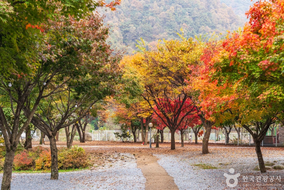 월악오토캠핑장 여행 추천 - 메고지고 월악오토캠핑장 여행 추천 - 메고지고