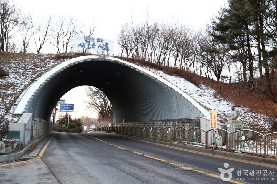 여우고개 여행 추천 - 메고지고 여우고개 여행 추천 - 메고지고