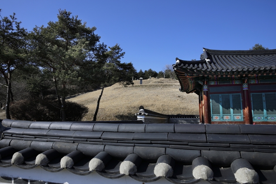 이광륜묘 여행 추천 - 메고지고 이광륜묘 여행 추천 - 메고지고