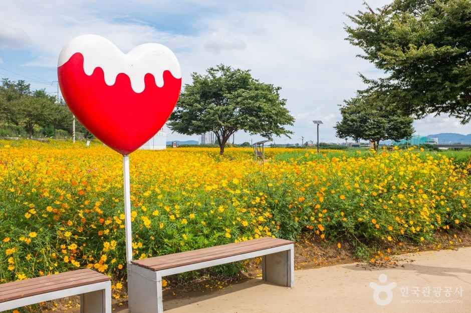 경산 하양경관농업단지 여행 추천 - 메고지고