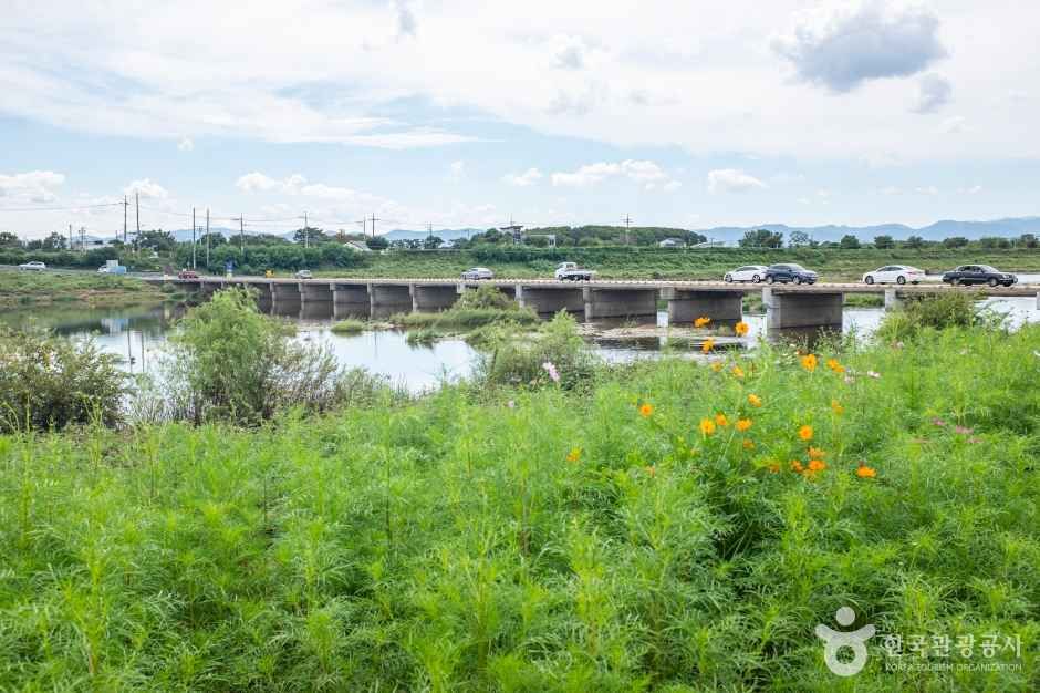경산 하양경관농업단지 여행 추천 - 메고지고