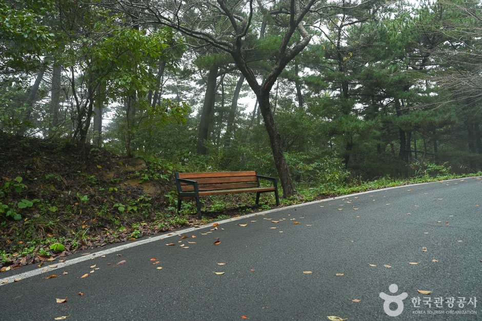가제산 여행 추천 - 메고지고 가제산 여행 추천 - 메고지고