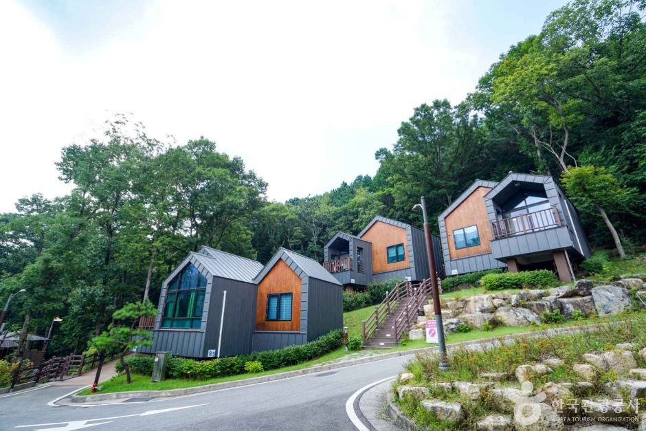 국립 용지봉 자연휴양림 여행 추천 - 메고지고 국립 용지봉 자연휴양림 여행 추천 - 메고지고