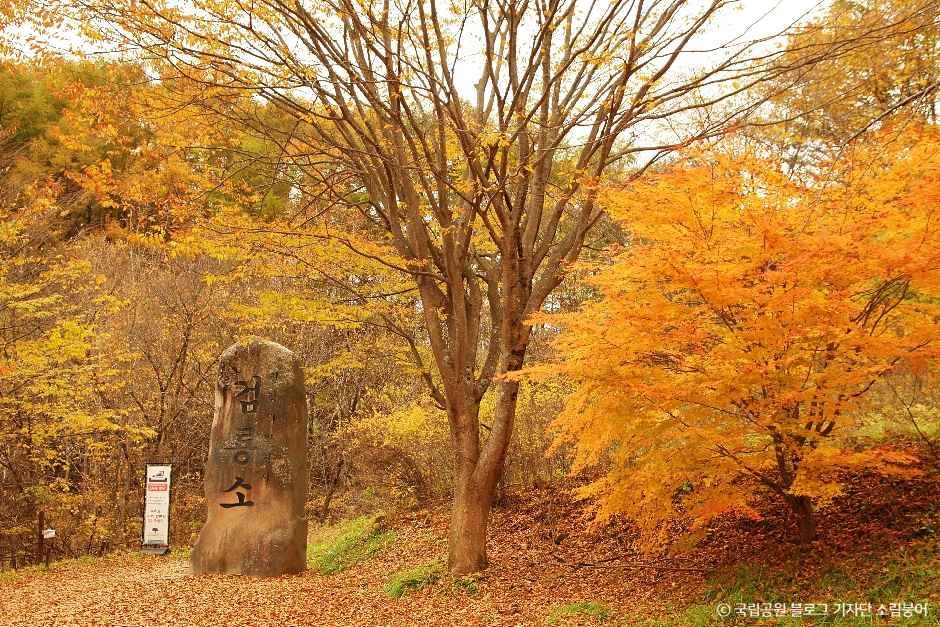 검룡소 여행 추천 - 메고지고 검룡소 여행 추천 - 메고지고
