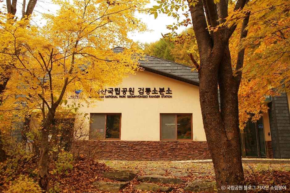 검룡소 여행 추천 - 메고지고 검룡소 여행 추천 - 메고지고