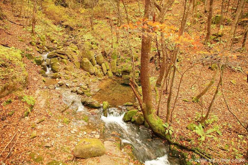 검룡소 여행 추천 - 메고지고 검룡소 여행 추천 - 메고지고