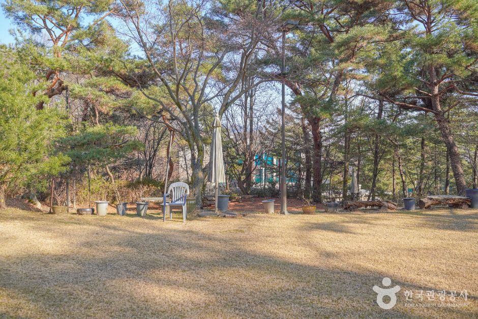 박을복자수박물관 여행 추천 - 메고지고