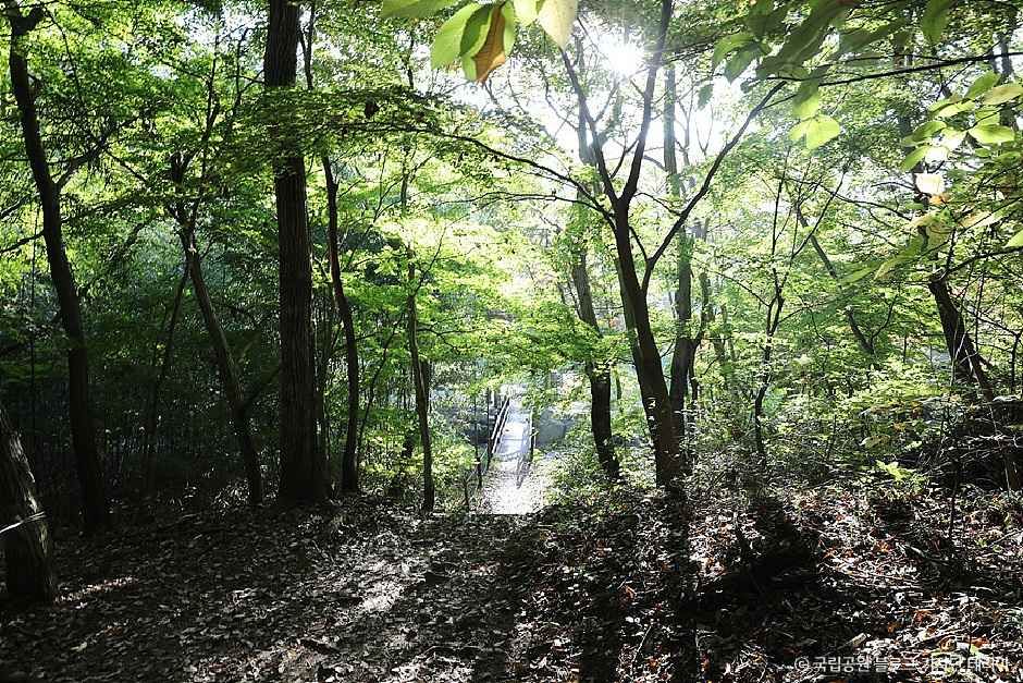 관음봉 여행 추천 - 메고지고 관음봉 여행 추천 - 메고지고
