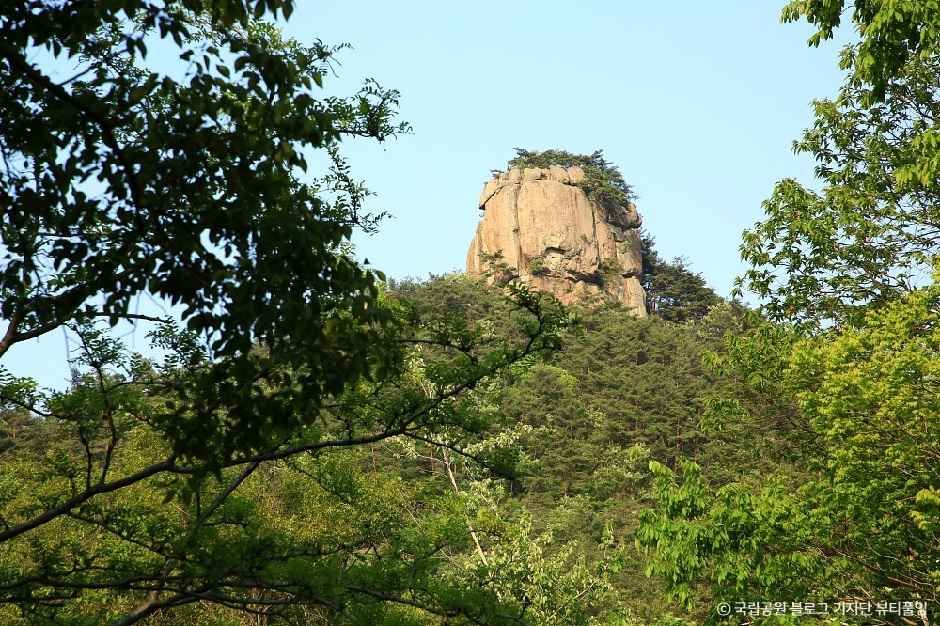 내변산 여행 추천 - 메고지고 내변산 여행 추천 - 메고지고