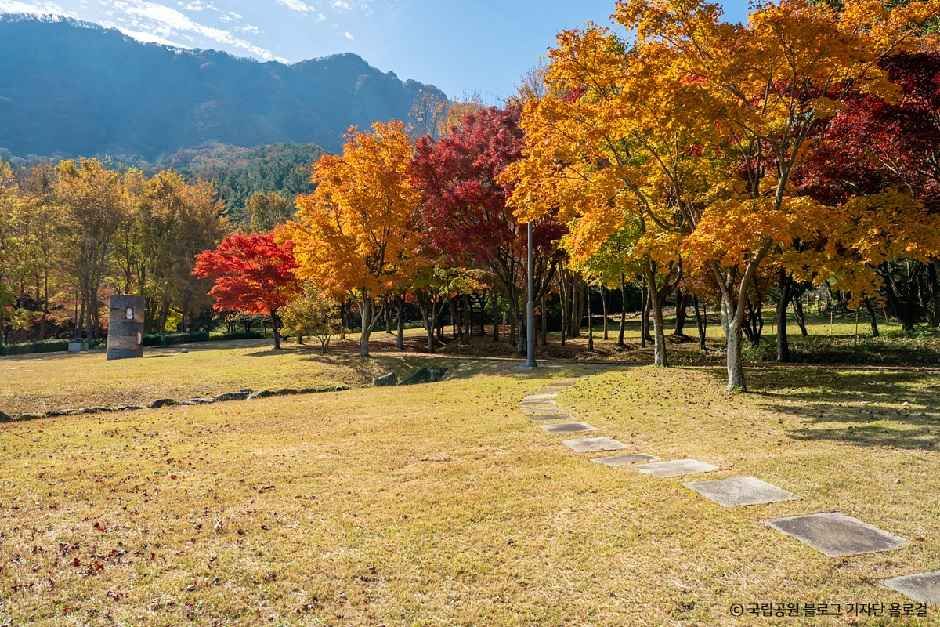 내장산조각공원 여행 추천 - 메고지고 내장산조각공원 여행 추천 - 메고지고