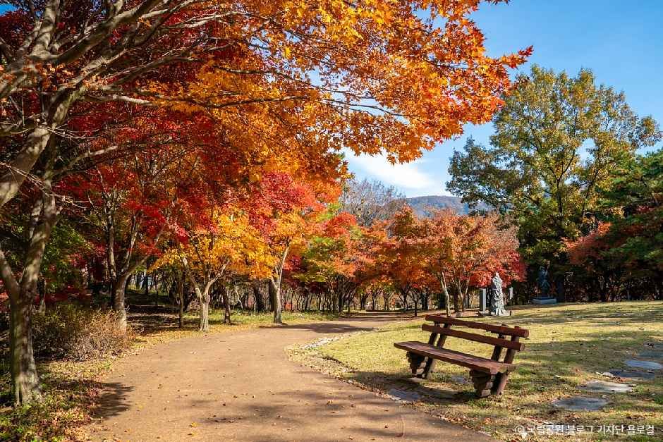 내장산조각공원 여행 추천 - 메고지고 내장산조각공원 여행 추천 - 메고지고