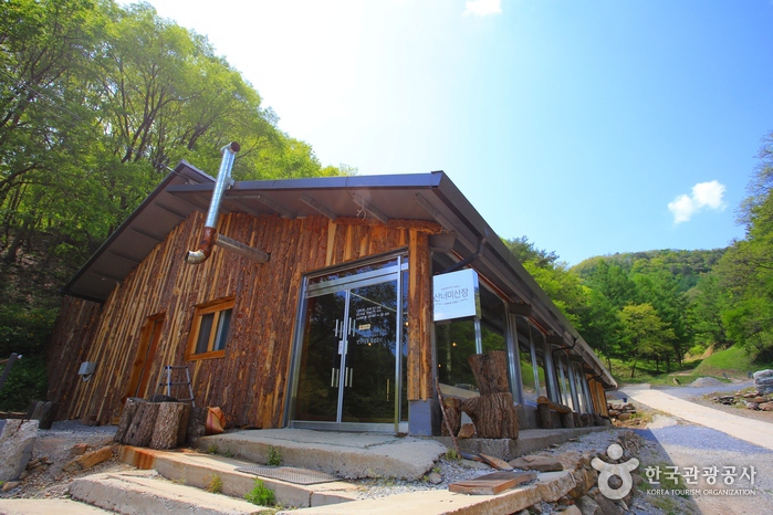 산너미목장 여행 추천 - 메고지고 산너미목장 여행 추천 - 메고지고