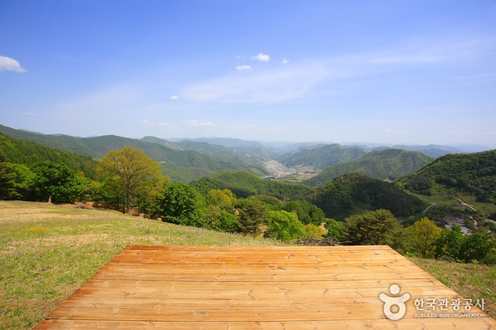 산너미목장 여행 추천 - 메고지고 산너미목장 여행 추천 - 메고지고