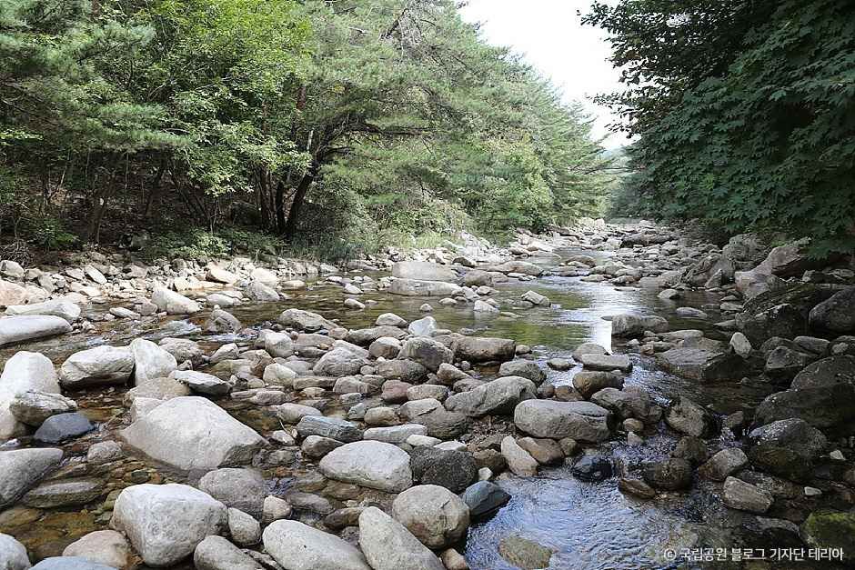 월악산국립공원 용하야영장 여행 추천 - 메고지고 월악산국립공원 용하야영장 여행 추천 - 메고지고