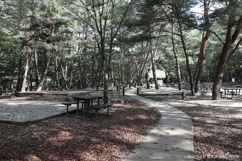 월악산국립공원 용하야영장 여행 추천 - 메고지고 월악산국립공원 용하야영장 여행 추천 - 메고지고