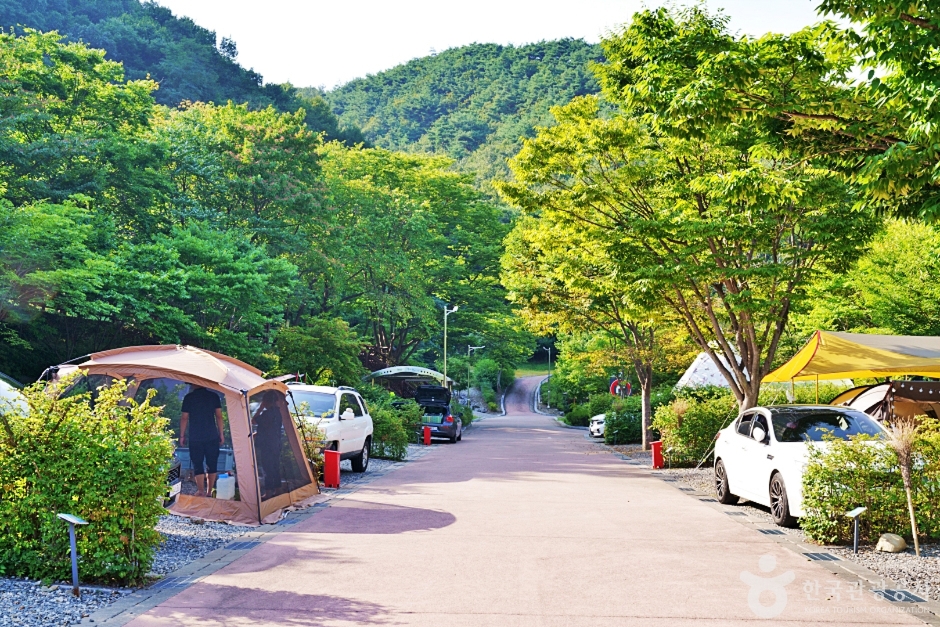 대둔산 도립공원 수락캠핑장 여행 추천 - 메고지고 대둔산 도립공원 수락캠핑장 여행 추천 - 메고지고