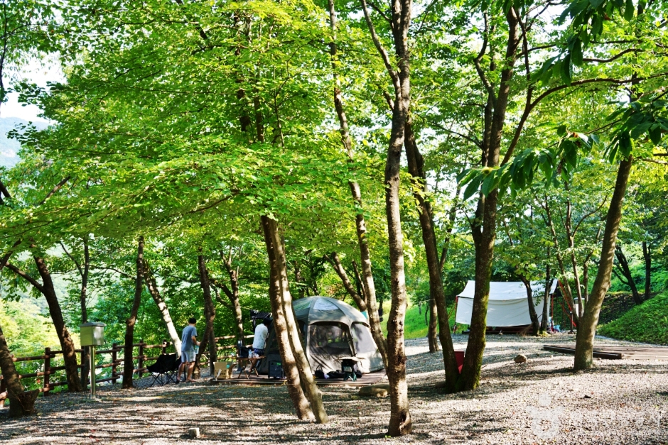 대둔산 도립공원 수락캠핑장 여행 추천 - 메고지고 대둔산 도립공원 수락캠핑장 여행 추천 - 메고지고
