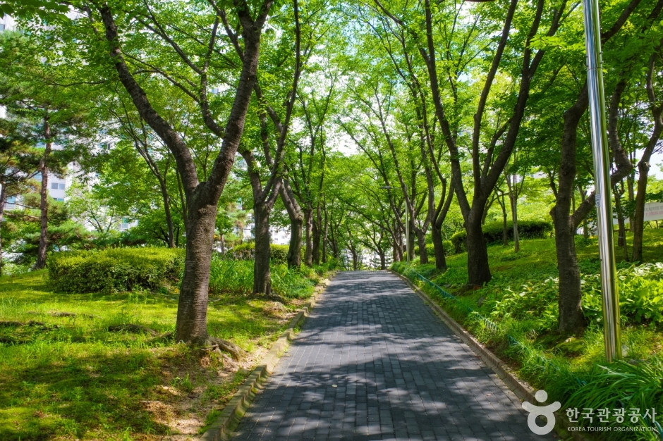 은행근린공원 여행 추천 - 메고지고