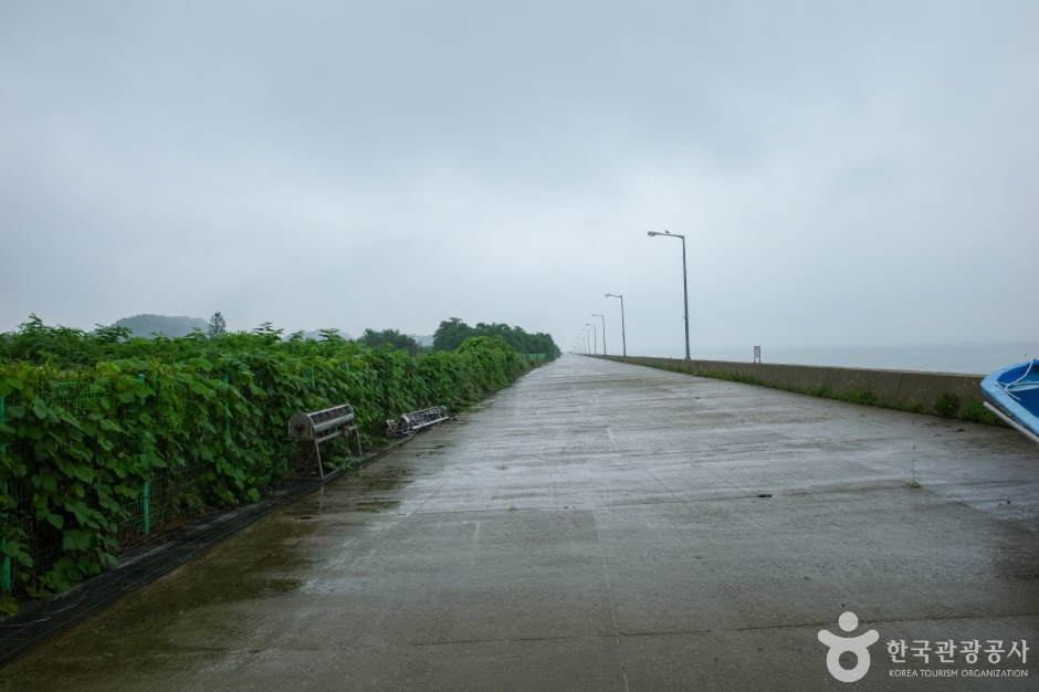 메추리섬 여행 추천 - 메고지고 메추리섬 여행 추천 - 메고지고