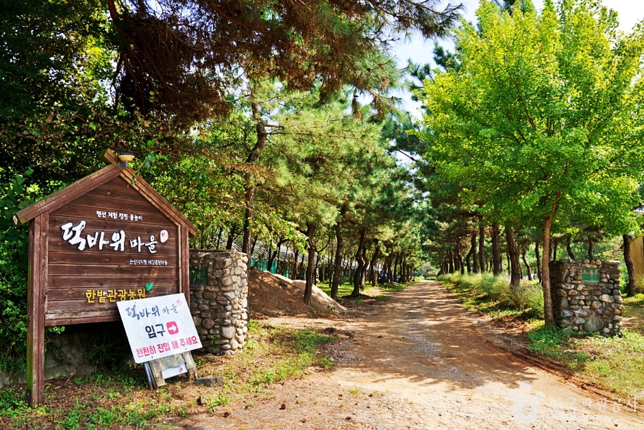 덕바위농촌체험휴양마을 여행 추천 - 메고지고 덕바위농촌체험휴양마을 여행 추천 - 메고지고