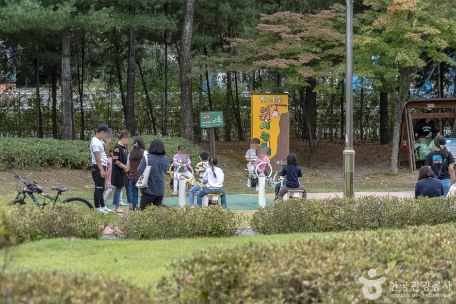 도시산림공원토리숲 여행 추천 - 메고지고