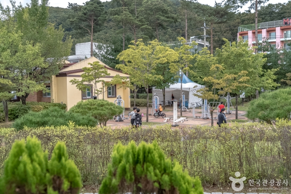 도시산림공원토리숲 여행 추천 - 메고지고