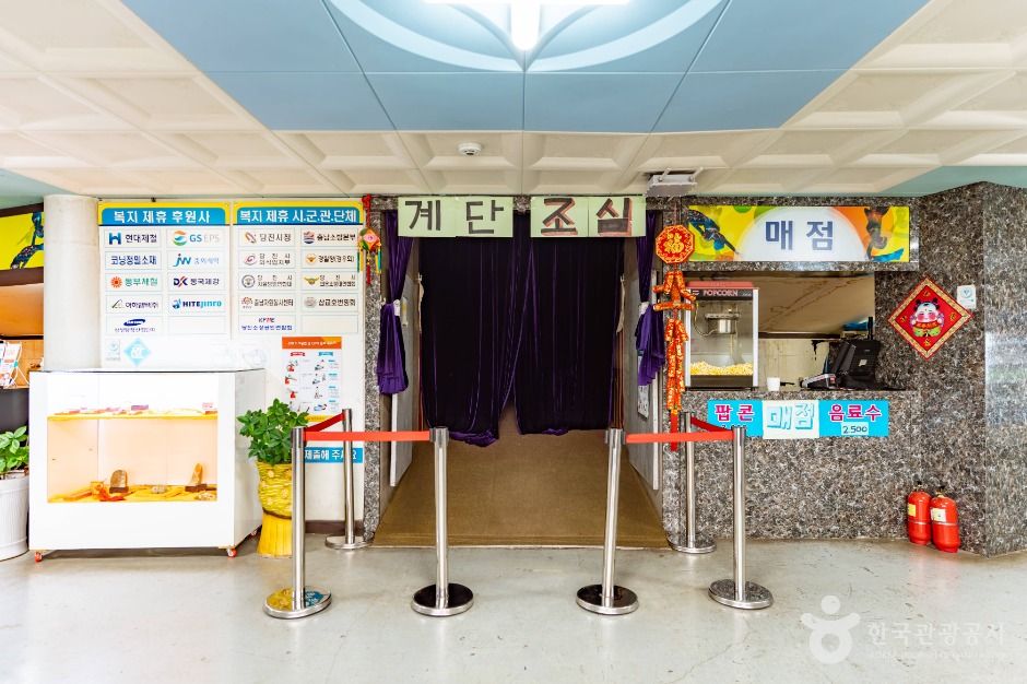 당진 월드 아트 서커스 여행 추천 - 메고지고 당진 월드 아트 서커스 여행 추천 - 메고지고