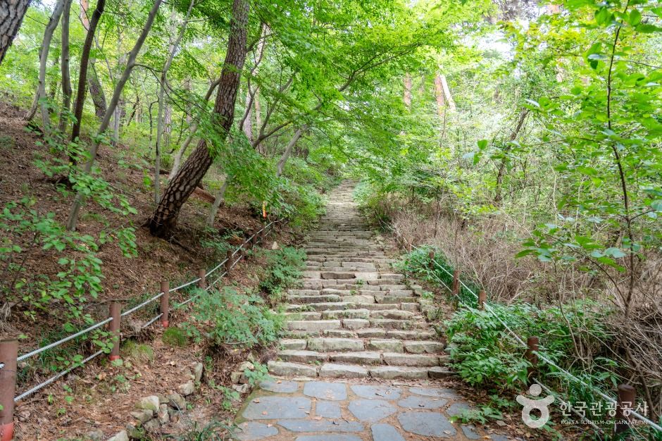 개심사 가는 길 여행 추천 - 메고지고 개심사 가는 길 여행 추천 - 메고지고