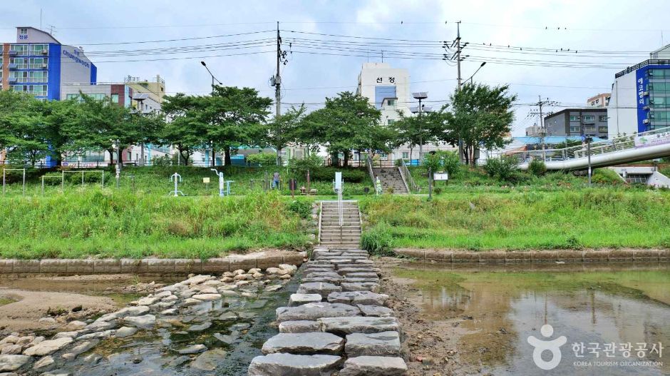 불광천 여행 추천 - 메고지고 불광천 여행 추천 - 메고지고