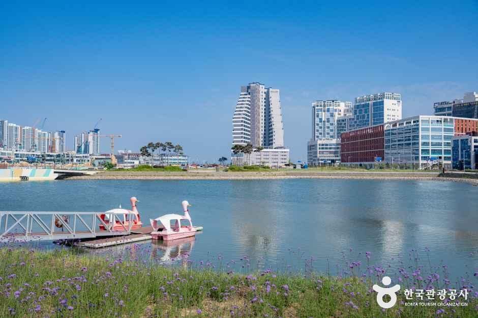 거북섬 여행 추천 - 메고지고