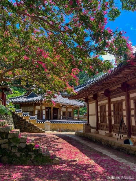 도암서원(고령) 여행 추천 - 메고지고 도암서원(고령) 여행 추천 - 메고지고