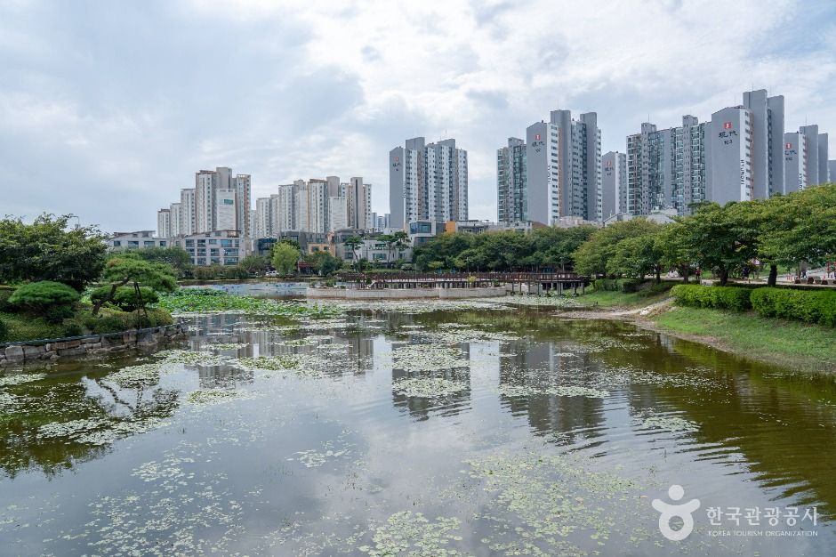 중앙호수공원(서산) 여행 추천 - 메고지고 중앙호수공원(서산) 여행 추천 - 메고지고